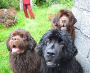 Превью фото № 212629