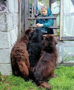 Превью фото № 212637