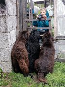 Превью фото № 212638