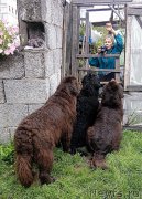 Превью фото № 212639