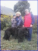 Превью фото № 212648