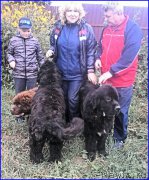 Превью фото № 212650