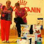 Превью фото № 212657