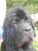 Превью фото № 212687