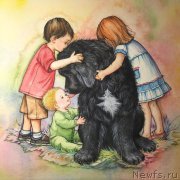 Превью фото № 212756