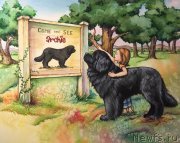 Превью фото № 212757