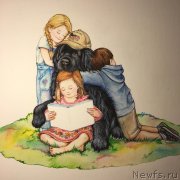 Превью фото № 212760