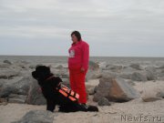 Превью фото № 212773