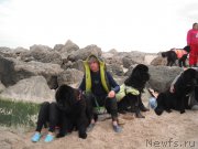 Превью фото № 212780