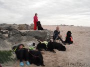 Превью фото № 212782