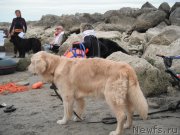 Превью фото № 212816