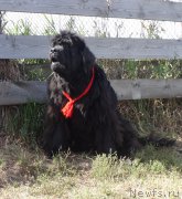 Превью фото № 212832