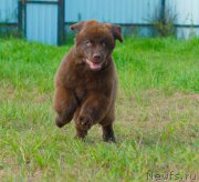 Превью фото № 212846