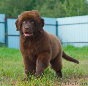 Превью фото № 212850