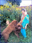 Превью фото № 213036