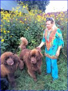 Превью фото № 213037