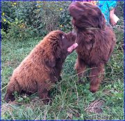 Превью фото № 213038