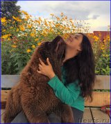 Превью фото № 213045