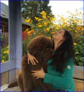 Превью фото № 213049