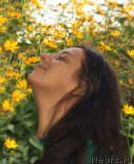 Превью фото № 213050