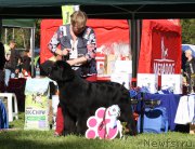 Превью фото № 213064