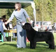 Превью фото № 213069