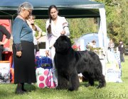 Превью фото № 213097