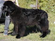 Превью фото № 213101