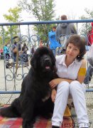 Превью фото № 213137