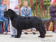 Превью фото № 213138