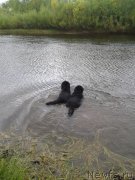 Превью фото № 213139