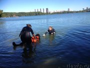 Превью фото № 213150