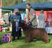 Превью фото № 213196