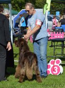 Превью фото № 213200