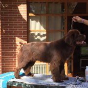 Превью фото № 213276