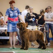 Превью фото № 213279