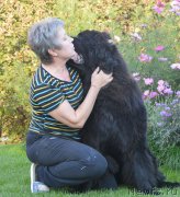 Превью фото № 213291