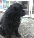 Превью фото № 21336