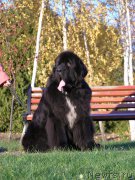 Превью фото № 213381