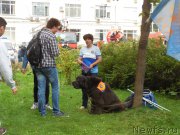 Превью фото № 213411