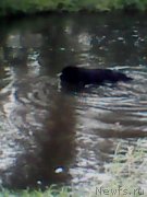 Превью фото № 213470