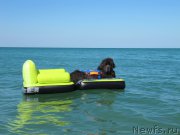 Превью фото № 213480