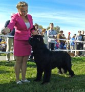 Превью фото № 213487