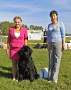 Превью фото № 213489