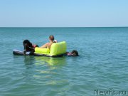 Превью фото № 213496