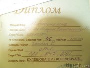 Превью фото № 213515