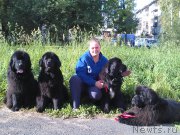 Превью фото № 213646