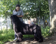 Превью фото № 213675