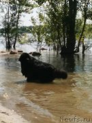 Превью фото № 213677