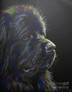 Превью фото № 213688